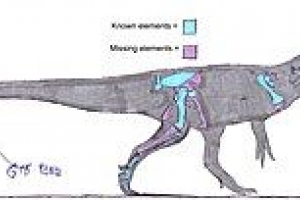 Чуандучоль Чуандучоль